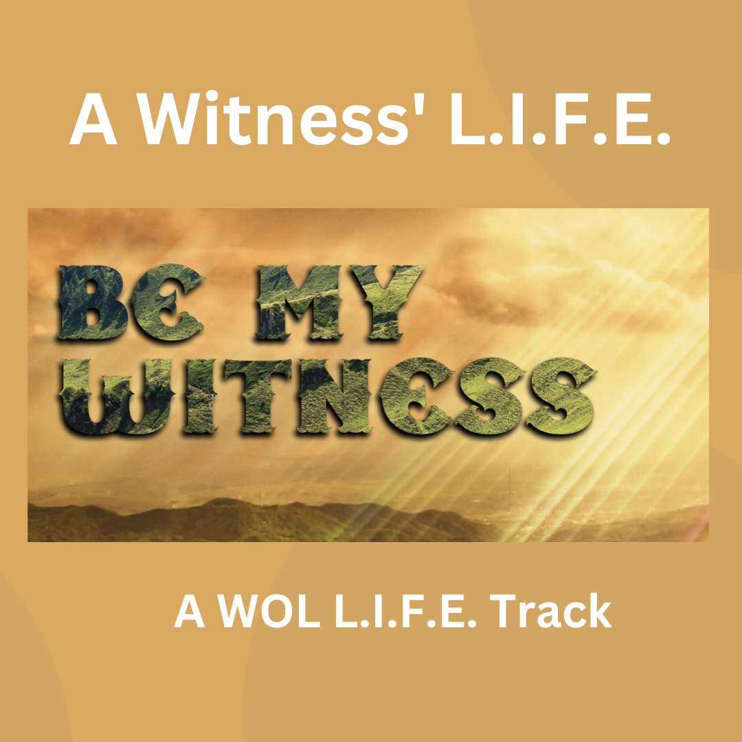 A Witness L.I.F.E.